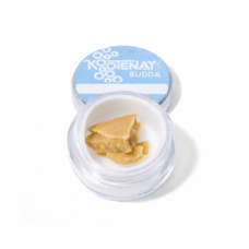 An image of 1g of Kootenay Labs Budda in a jar on a white background