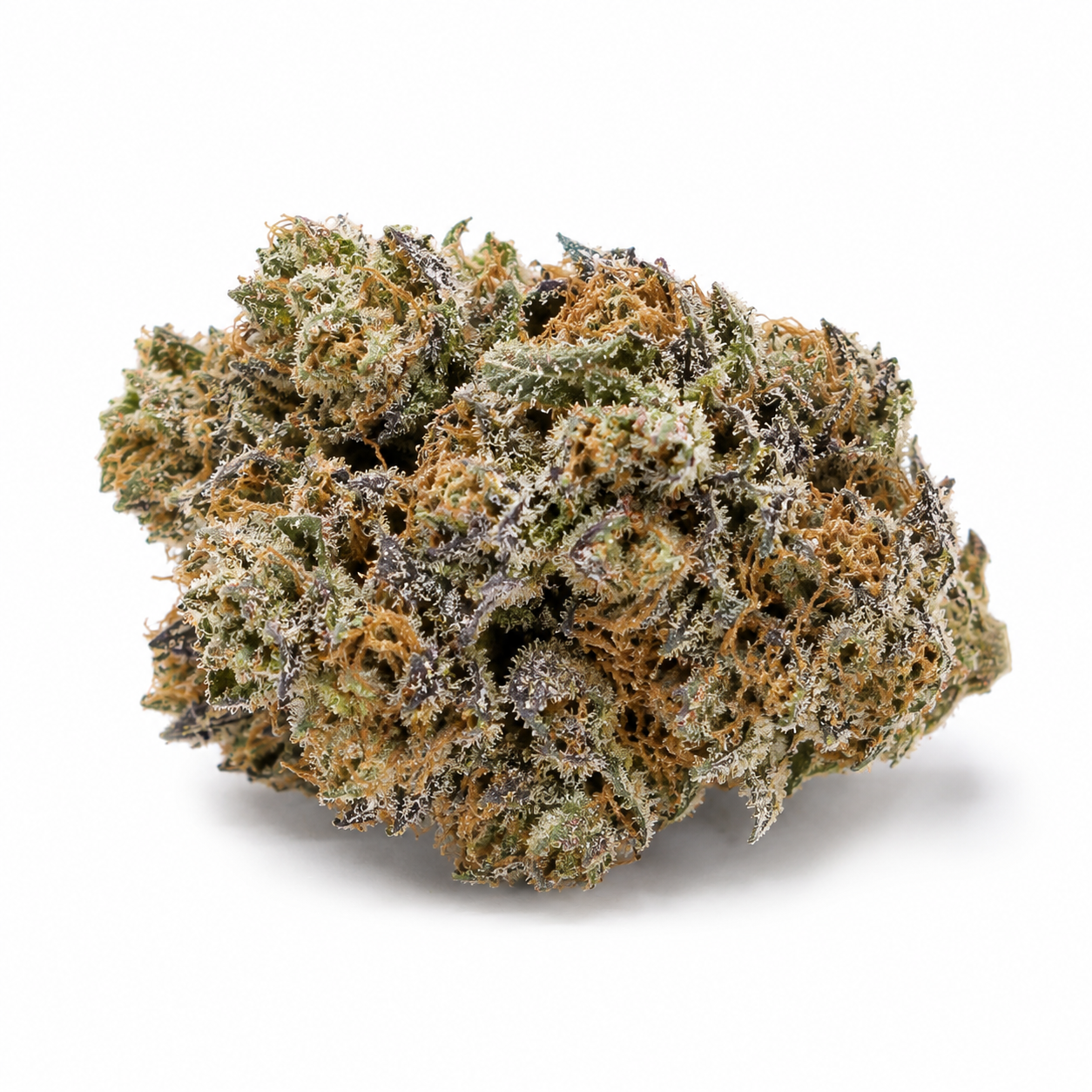 blue sunset sherbet bud