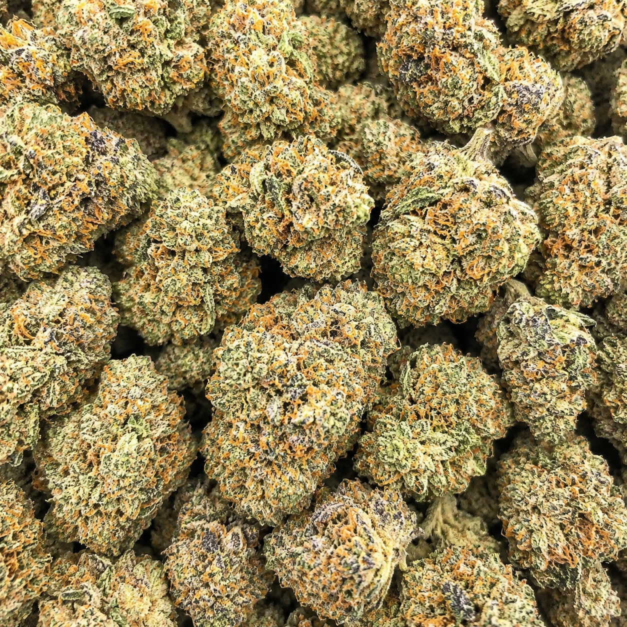blue sunset sherbet bag