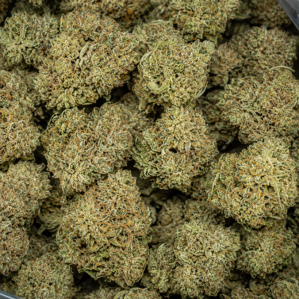 blue dream bag pic